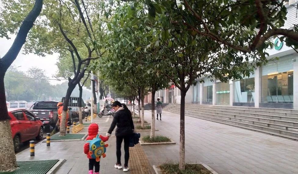 太牛了!平湖2019年超全通讯录出炉!小编熬夜整理,有了它,今后走遍平湖不用愁!