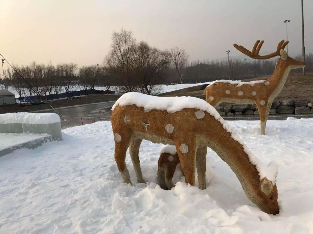 海淀稻香湖冰雪世界,海淀区冰雪场所