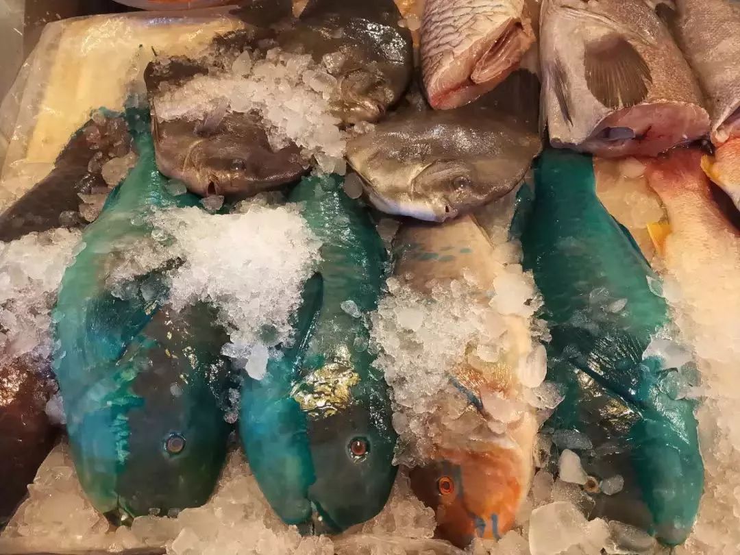 不认识这些海鲜，还敢说吃遍三亚？“三亚发布”能查海鲜限价哦～