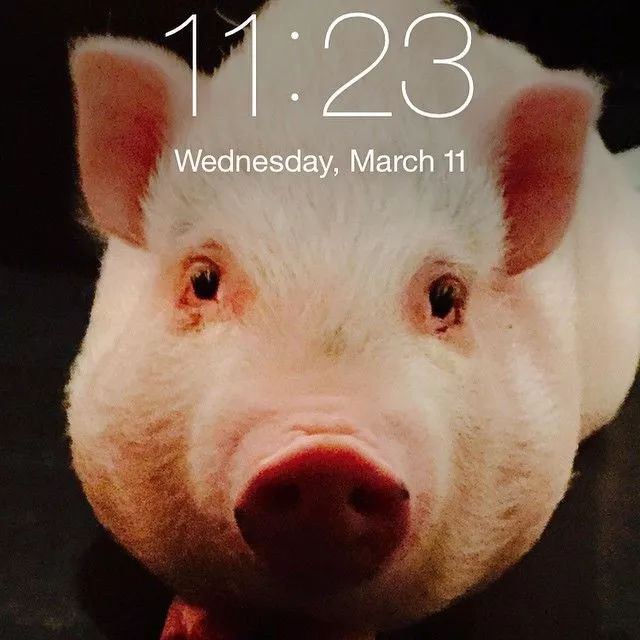 揭穿身边的骗局文章,揭穿新骗局视频