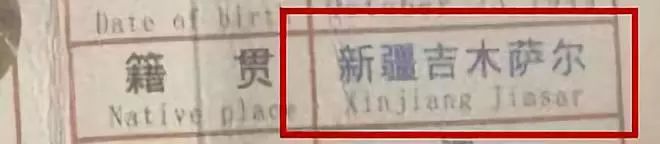 被这个翻译气笑了!但更扯的是它背后的组织……