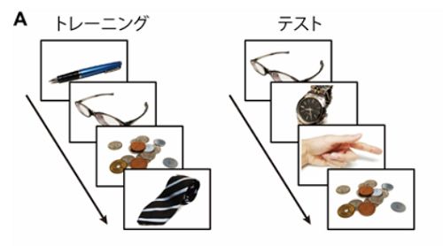日本记忆力恢复药物,日本恢复剂