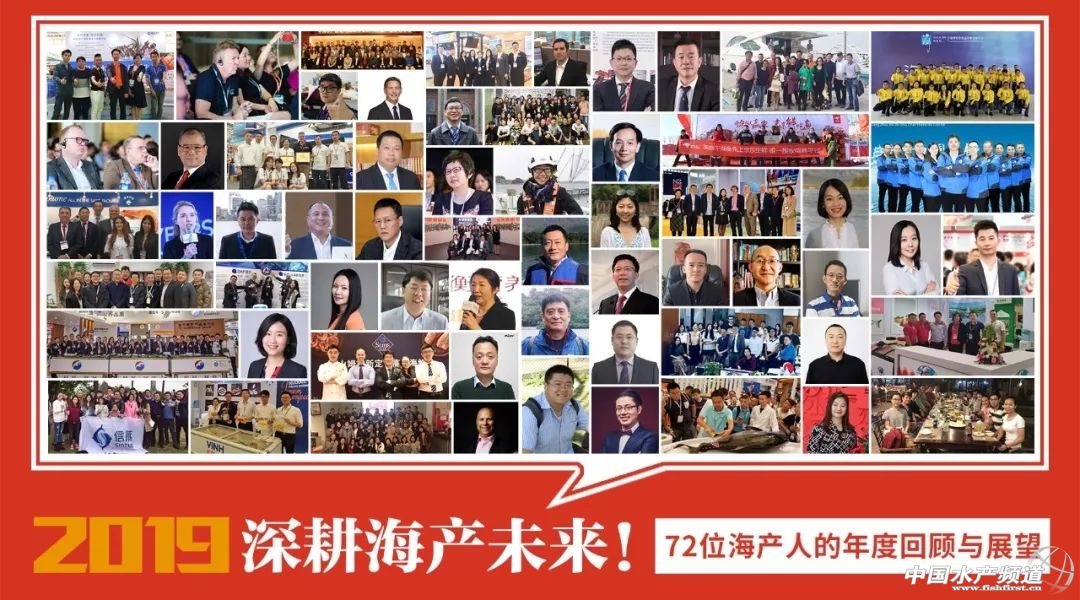 2019年海产行业,海产行业的感悟心得分享
