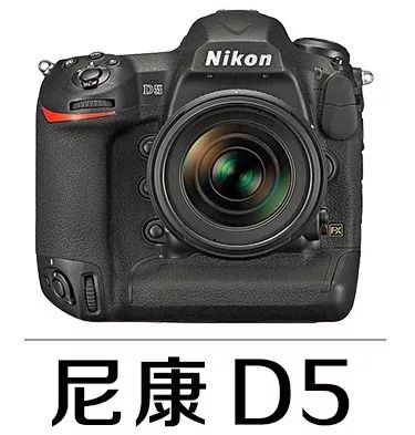 摄影教程零基础学摄影快门光圈,摄影初学者拍的第1张照片