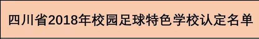 南充嘉陵区校园足球联赛,四川南充青少年校园足球联赛