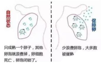 异地恋遇到姐弟恋,怎么维持异地恋和姐弟恋