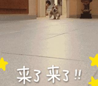 余杭景点打卡攻略旅游线路,余杭城西一日游攻略