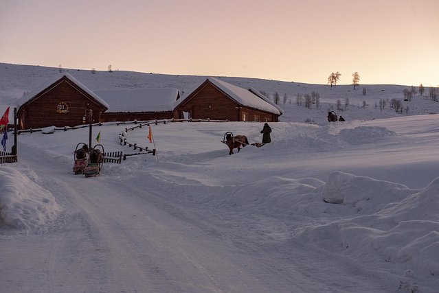 冬日喀纳斯,梦中的冰雪童话世界