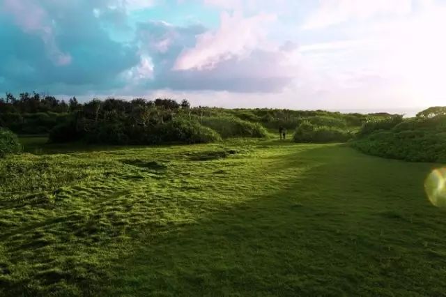 日本夏威夷樱花海岛,在日本最晚看到樱花开放的岛屿