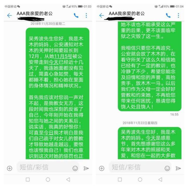 吴秀波小三被抓,吴秀波的女友被判几年
