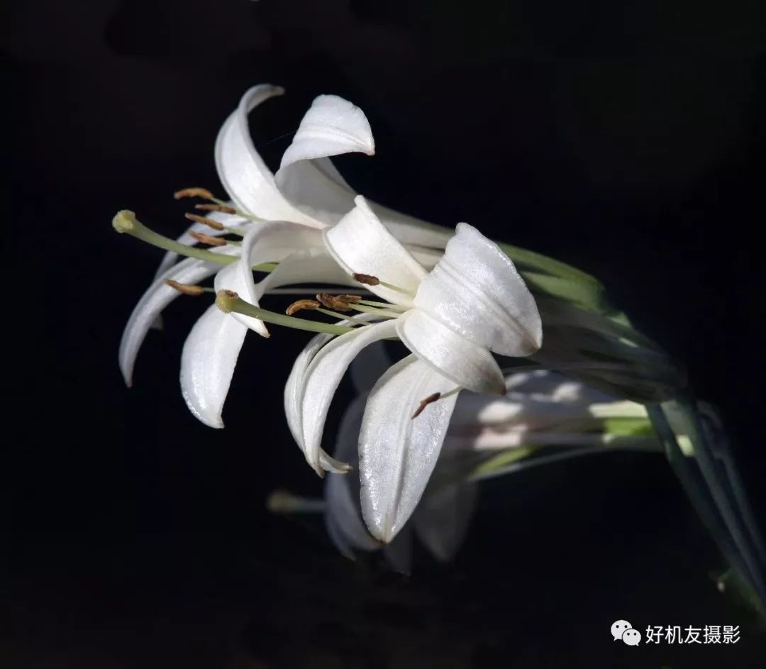 日出摄影用什么测光模式,风景摄影用什么测光模式