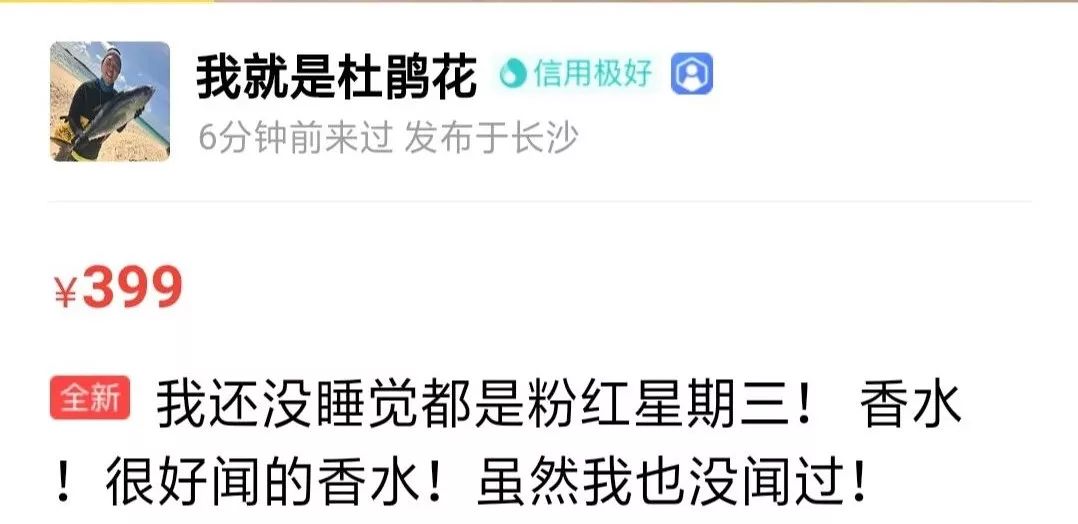 吃货人设天生丽质人设,吃货人设完整版