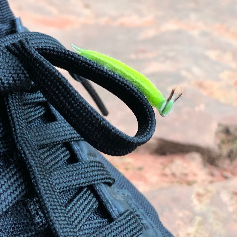 在爱情天梯偶遇小青龙