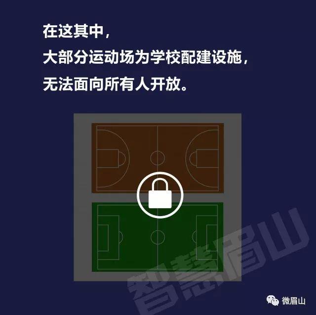 眉山24号篮球场,250跑道足球场面积