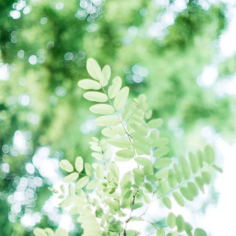 日系清新拍照参考,拍小清新日系照