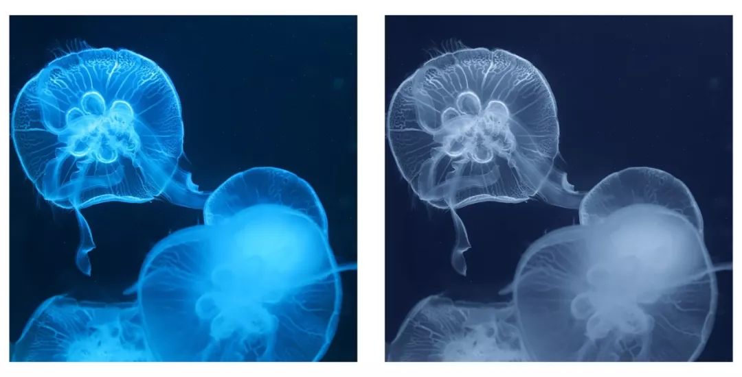 日系清新拍照参考,拍小清新日系照