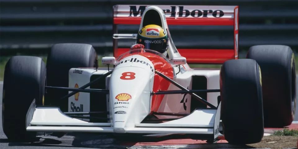 涨知识你真的了解普洱茶吗,涨知识啦你不知道的冷知识