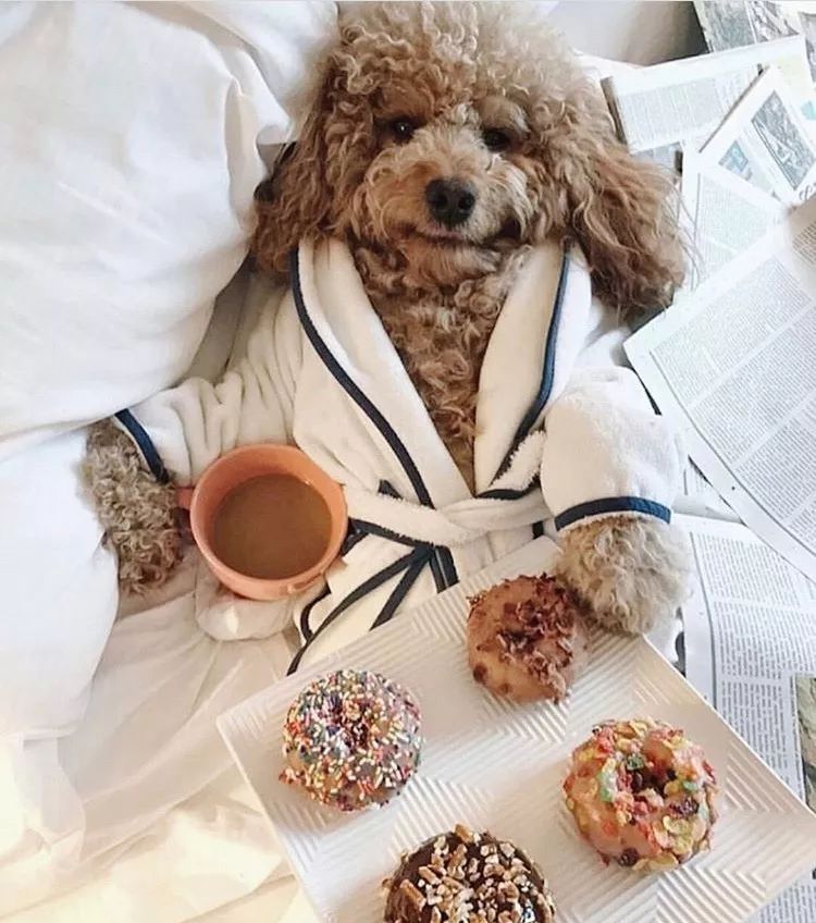 让男神主动牵我手的秘籍