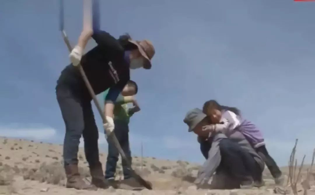 这位日本女人嫁到内蒙古牧区只为和丈夫在沙漠上种树