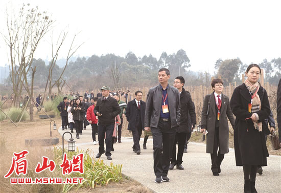 驻区市人大代表开展集中视察,市人大代表视察