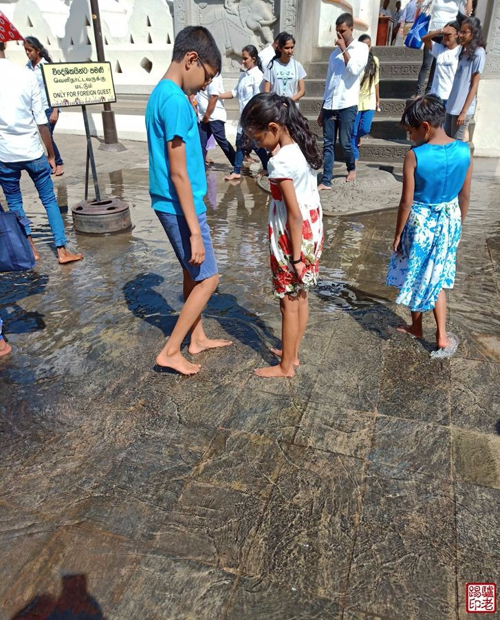 斯里兰卡农村真实生活视频,斯里兰卡华人真实生活视频