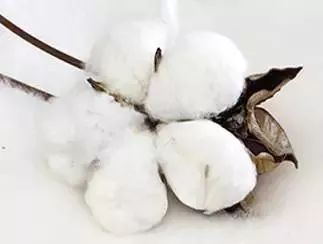 被子盖得过厚对身体的影响,盖潮湿的被子对身体有怎样的影响