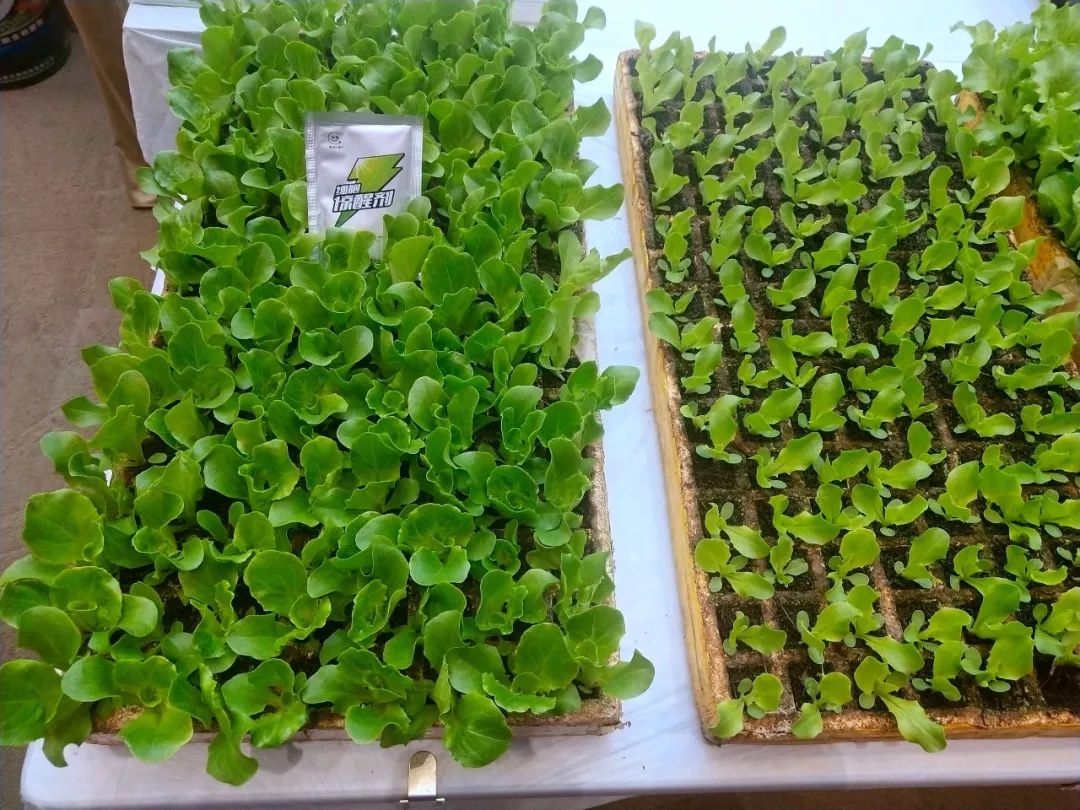 云南前五十名农资经销商,云南农资经销商有哪些