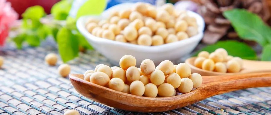 头晕要警惕三种病治疗方法,头昏头晕吃啥药效果好能治好