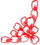 走进荷兰“花花世界”，五大赏花攻略总有一款适合您！骑行/直升机，逛花园花田，跟着花农的脚步走过这个春天