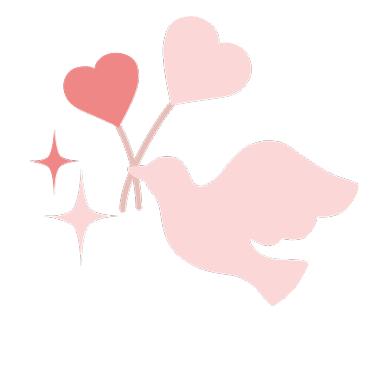 19进口tiguan330创睿型,试驾进口tiguan330创睿型