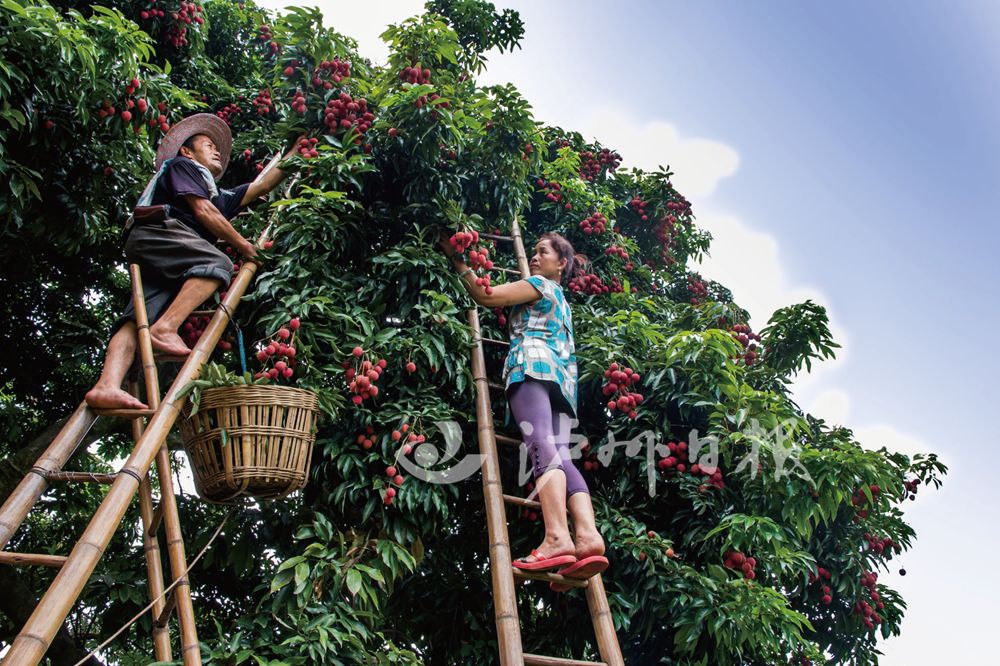 泸州2019年新建学校,泸州城南即将动工的学校