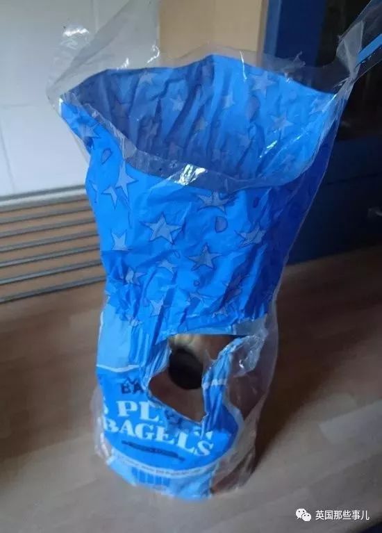 你家老公有多笨,你老公有多懒