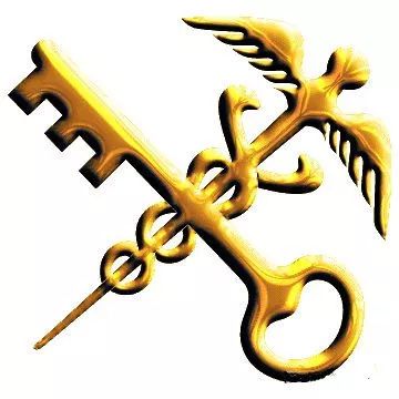 澳大利亚蜂巢,澳大利亚马来西亚