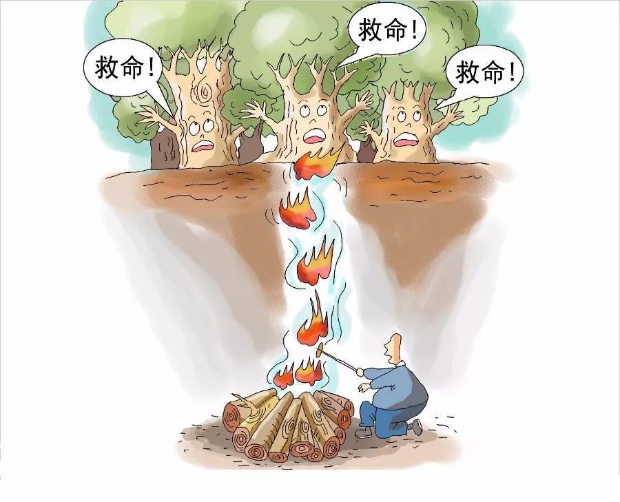 消防官兵扑灭森林大火视频,各地山火扑救情况