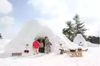 北京哪个公园玩冰雪好,北京冰雪嘉年华游玩攻略