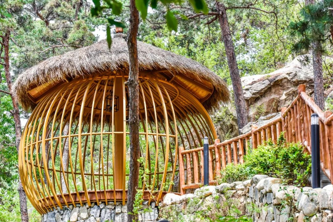 2月6-10（天天发班）蒙山（航天）康谷温泉度假村纯玩一日游——泡五星级露天温泉、赏山林间翠竹五星级中国长寿温泉128元