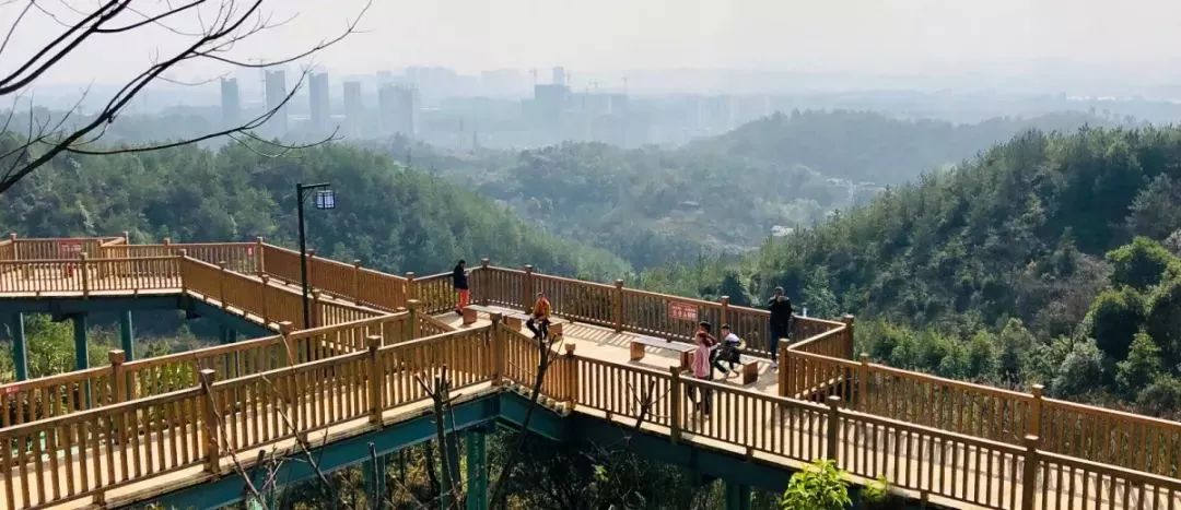 赣州最好玩的公园不要门票,离赣州最近的森林公园还有多远
