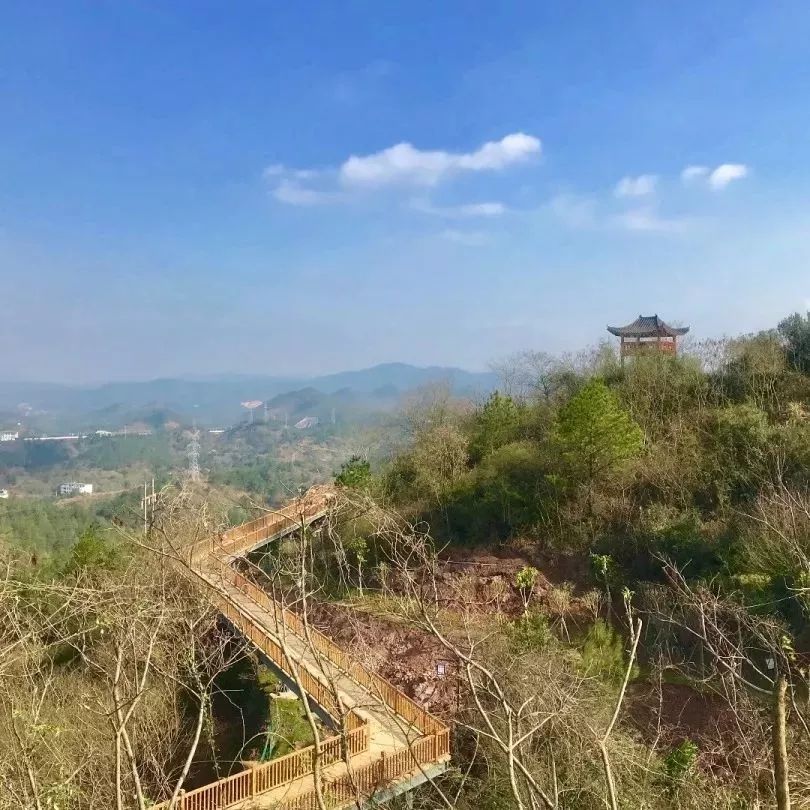 赣州最好玩的公园不要门票,离赣州最近的森林公园还有多远