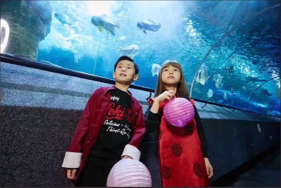 大连春节旅游攻略最值得去的地方,玩遍大连