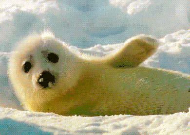 七星岩景区哪里停车好,七星岩景区哪里方便停车