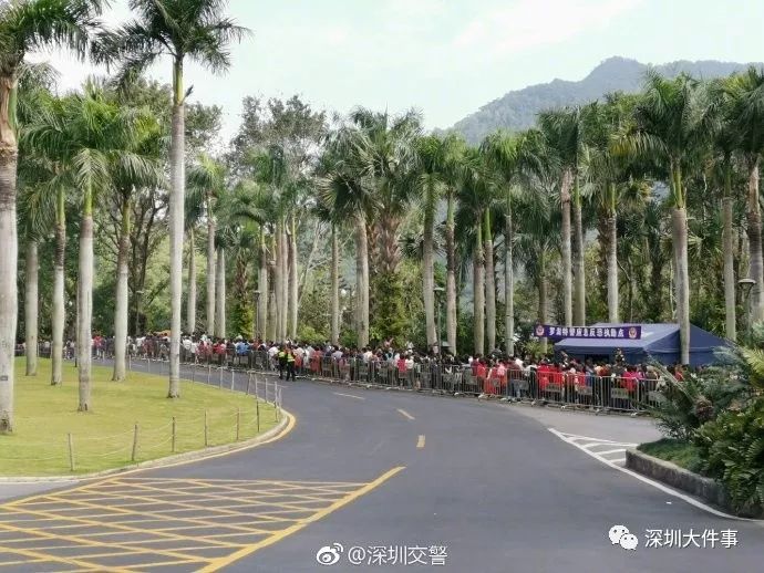 人从众第四个字怎么念,人从众什么意思