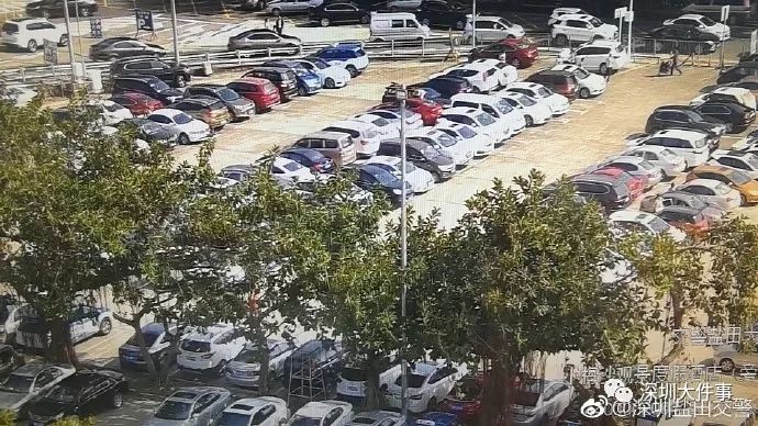 人从众第四个字怎么念,人从众什么意思