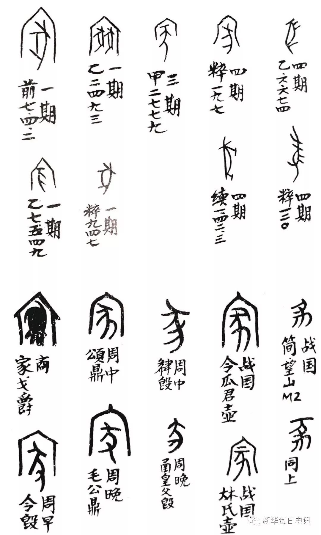 猪年的吉祥物叫什么,寻找鼠年吉祥物