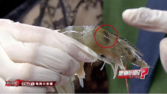 别再用刀刮鱼鳞了！只需这一味调料鱼鳞轻松去除