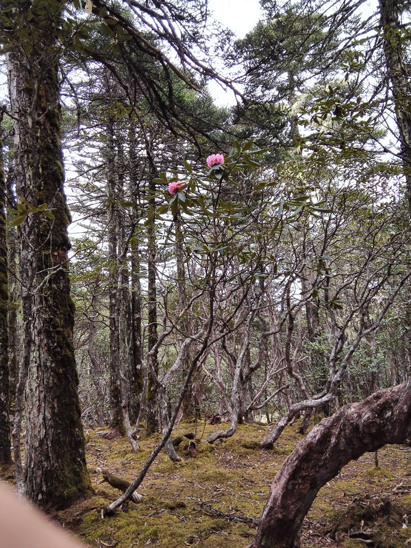 飞拉达攀岩金刀峡,老君山飞拉达攀岩有安全绳吗