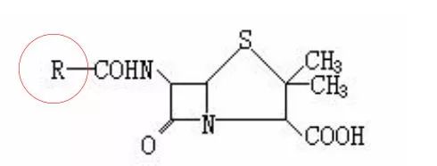 青霉素二战是干什么用的,青霉素成二战很受欢迎的发明