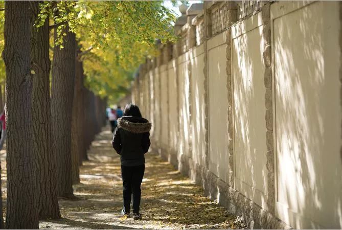 北京60岁旅游免费景点,北京爬山免费景点推荐