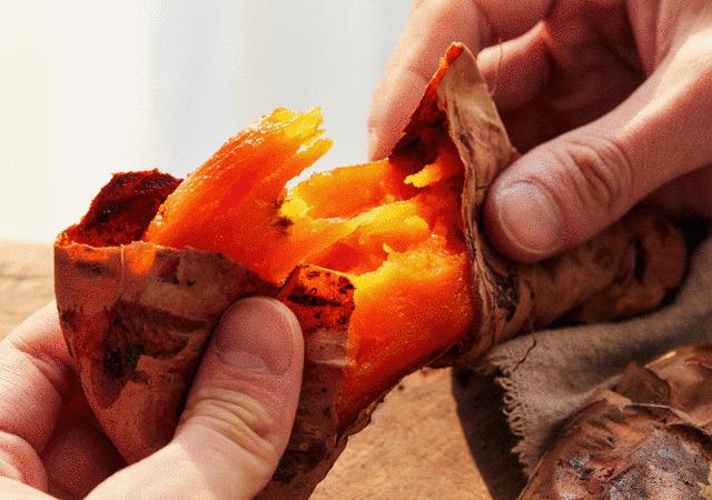 日本进口烤箱价格,日本烤箱什么牌子好