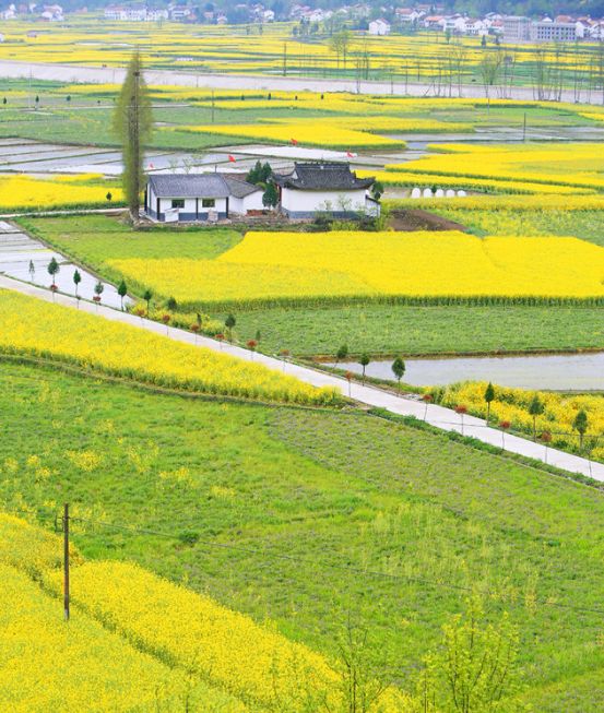 汉中这几天有啥好玩的,5月的汉中有哪些好玩的地方