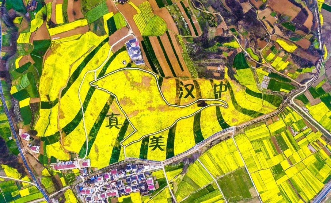 汉中这几天有啥好玩的,5月的汉中有哪些好玩的地方